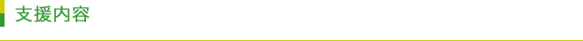 支援内容